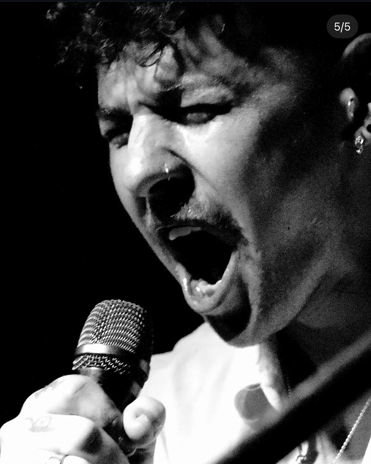 Who's Roxy photo 4